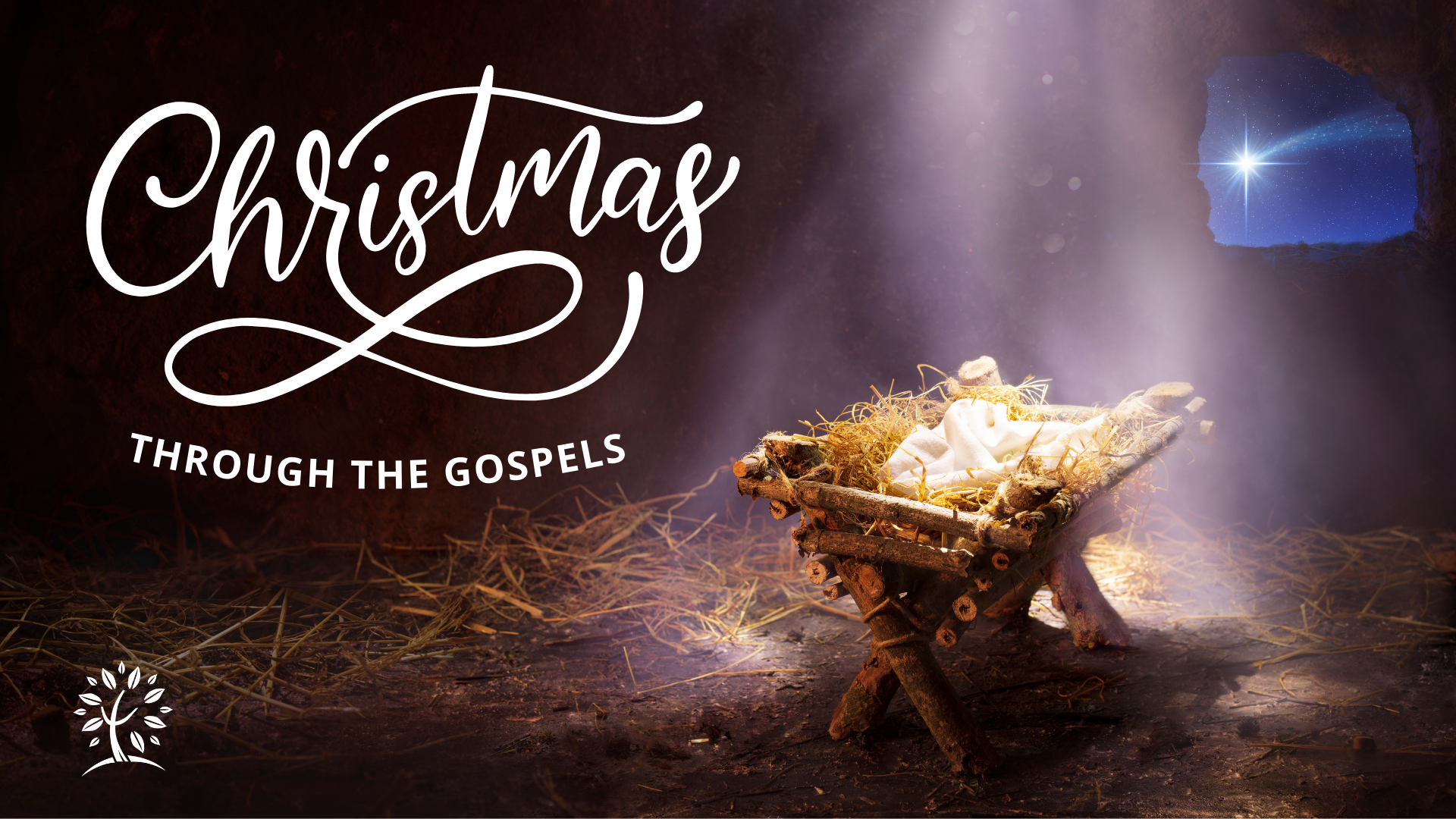 Series: <span>Christmas Through the Gospels</span>