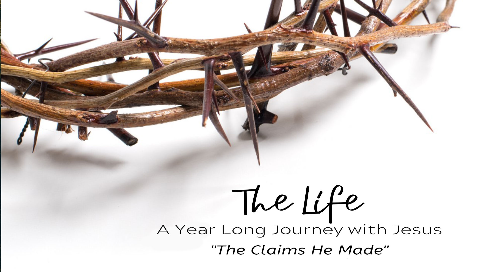 Series: <span>The Life, the Ministry, the Teachings of the Lord Jesus Christ</span>